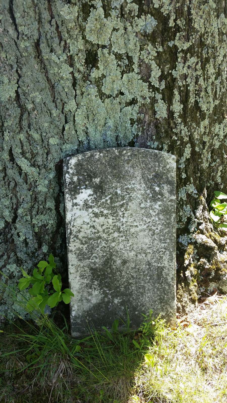 Boehms Cemetery | Blue Bell, PA 19422, USA