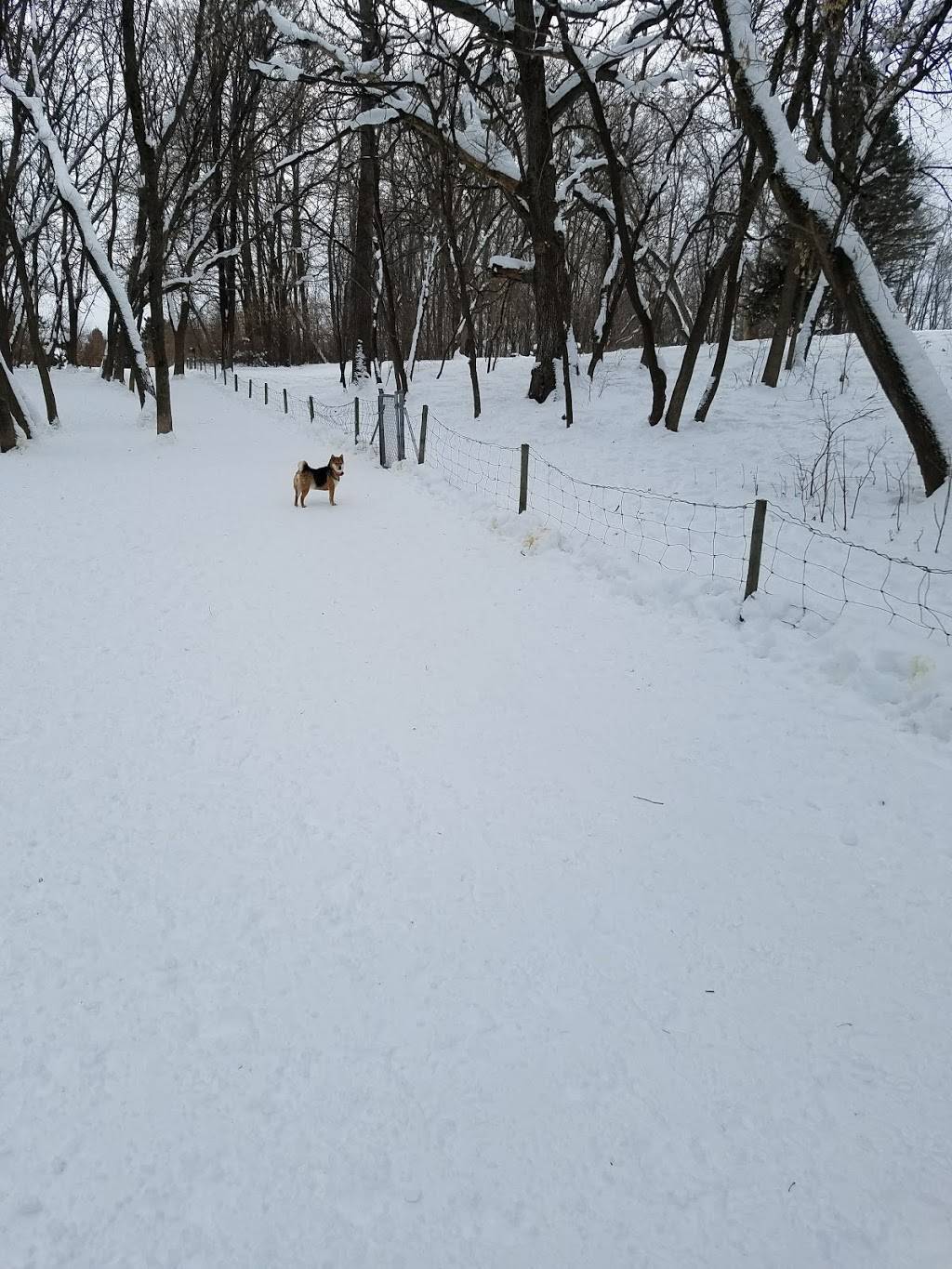 Otter Lake Off-leash Dog Area | 5750 Otter Lake Rd, White Bear Township, MN 55110, USA | Phone: (651) 748-2500