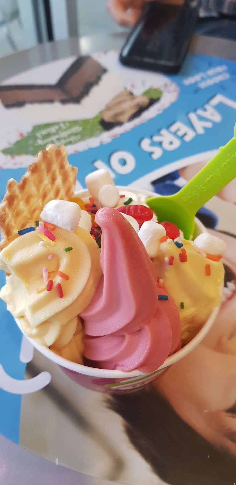 Menchies Frozen Yogurt | 20440 US-59 D-2, Humble, TX 77338, USA | Phone: (281) 570-2954