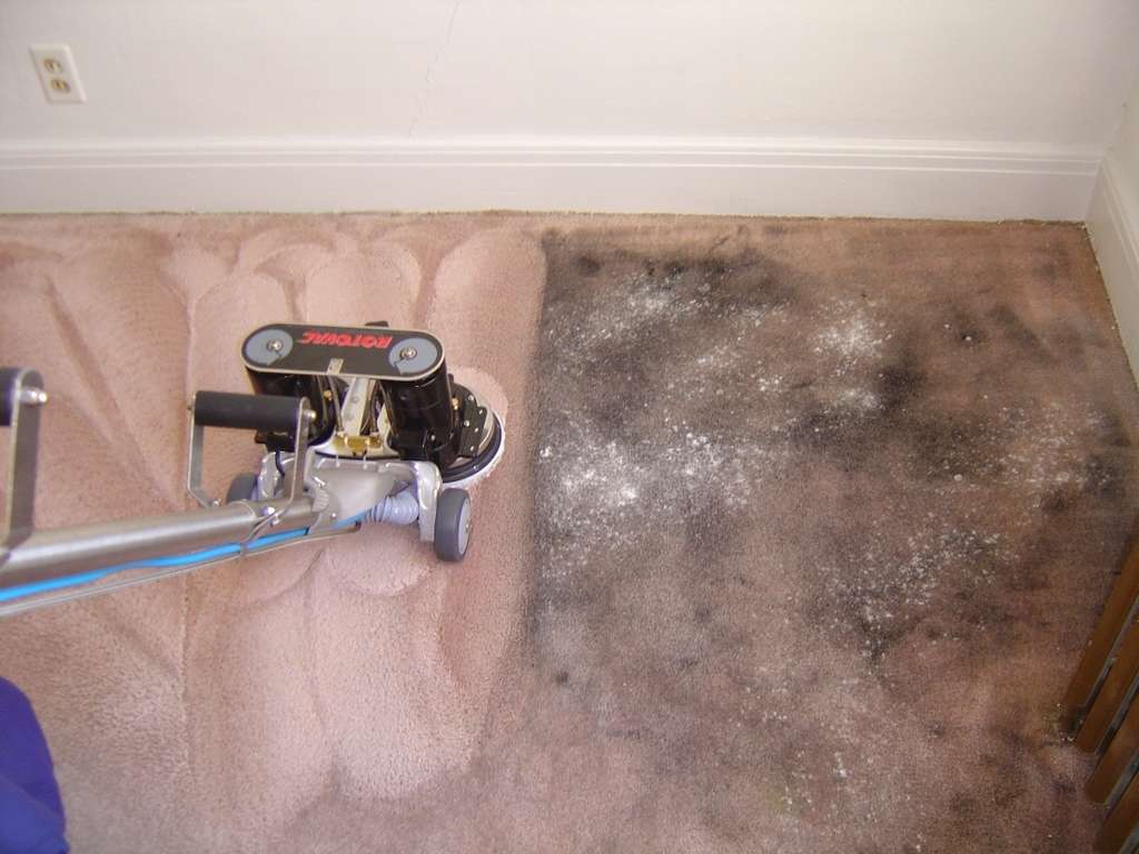 Royal Carpet Cleaning Services LLC | 147 Wardwell St, Stamford, CT 06902, USA | Phone: (203) 554-6521
