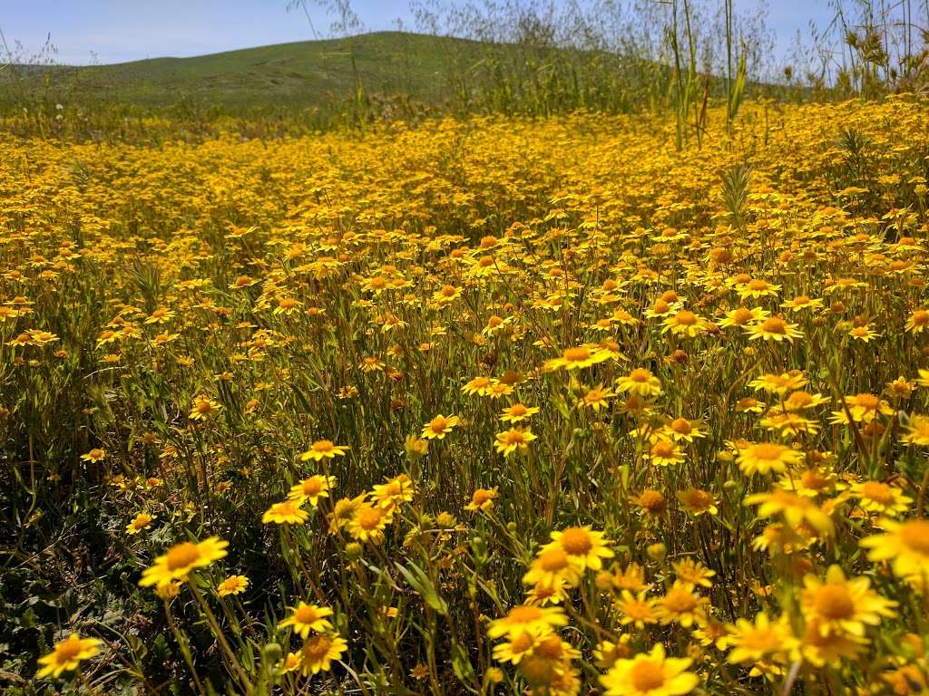 Shady canyon trail parking | Irvine, CA 92612, USA