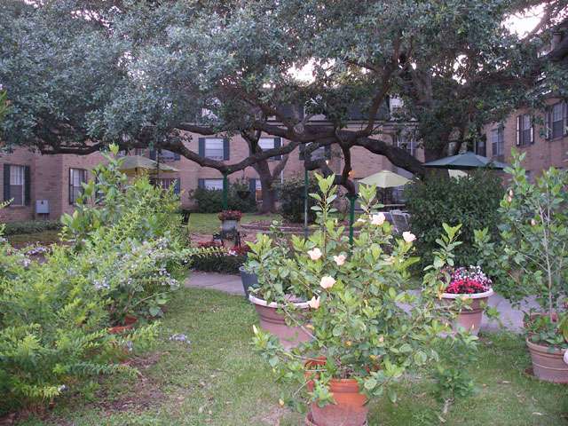 The Treemont Retirement Community | 2501 Westerland Dr, Houston, TX 77063, USA | Phone: (713) 783-6820