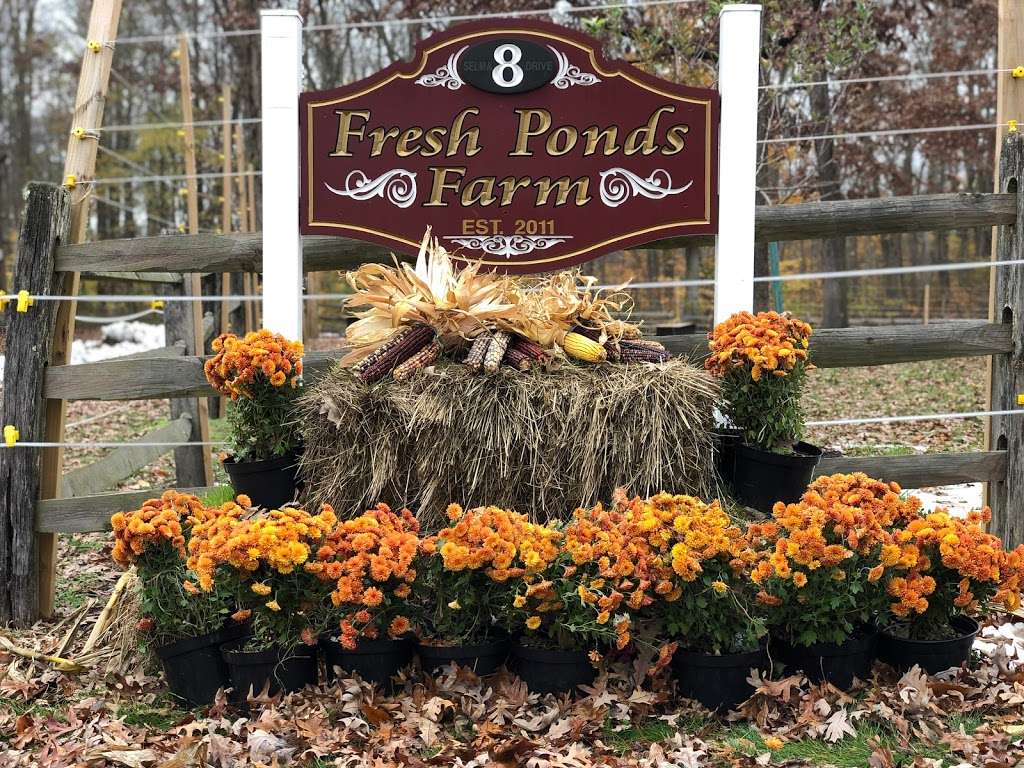 Fresh Ponds Farm | 8 Selma Dr, Monroe Township, NJ 08831, USA | Phone: (732) 274-1748