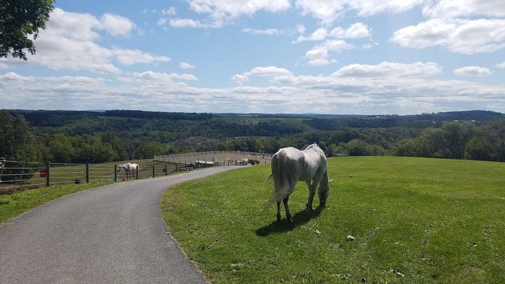 PA Camping, The Pennsylvania Campground Owners Association | 5265 Sell Rd, New Tripoli, PA 18066, USA | Phone: (610) 767-5026