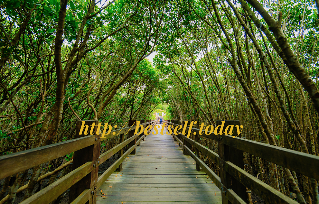 Best Self LLC Sherian Lee, MA, LMFT | 22500 Cristo Rey Dr, Cupertino, CA 95014, USA | Phone: (408) 813-5324