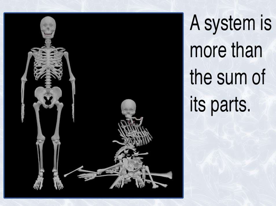 Ward Chiropractic Family Center | 6530 E Spring St, Long Beach, CA 90815, USA | Phone: (562) 420-8884