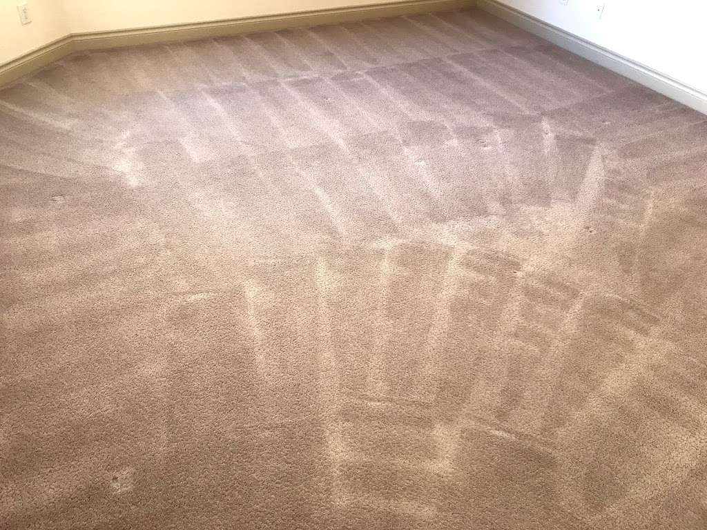 Best Carpet Cleaning League City | 6556 South Shore Blvd #755, League City, TX 77573, USA | Phone: (281) 764-9931