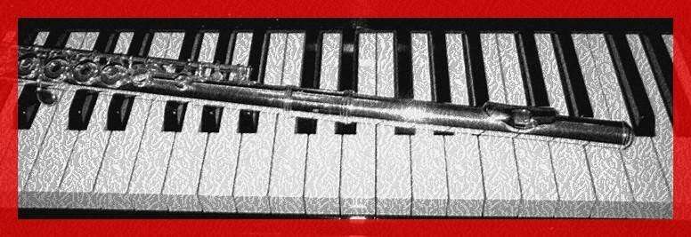 Michelle Cosgrove Flute and Piano Studio | 1003 N 7th St, Perkasie, PA 18944, USA | Phone: (215) 258-3941