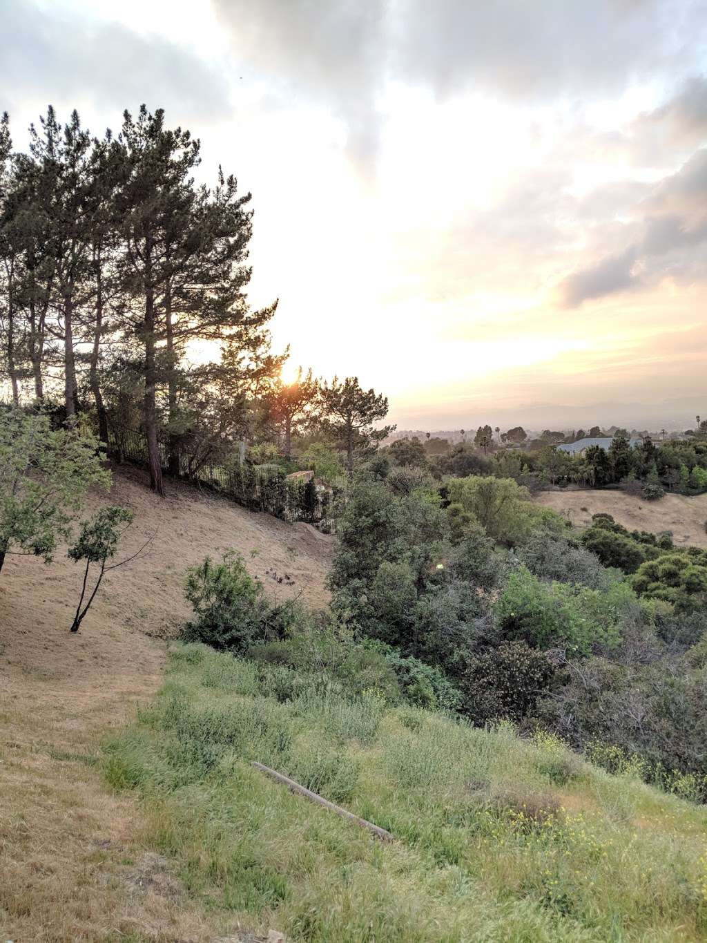 Johnson Overlook | 14851 Mulholland Dr, Sherman Oaks, CA 91403