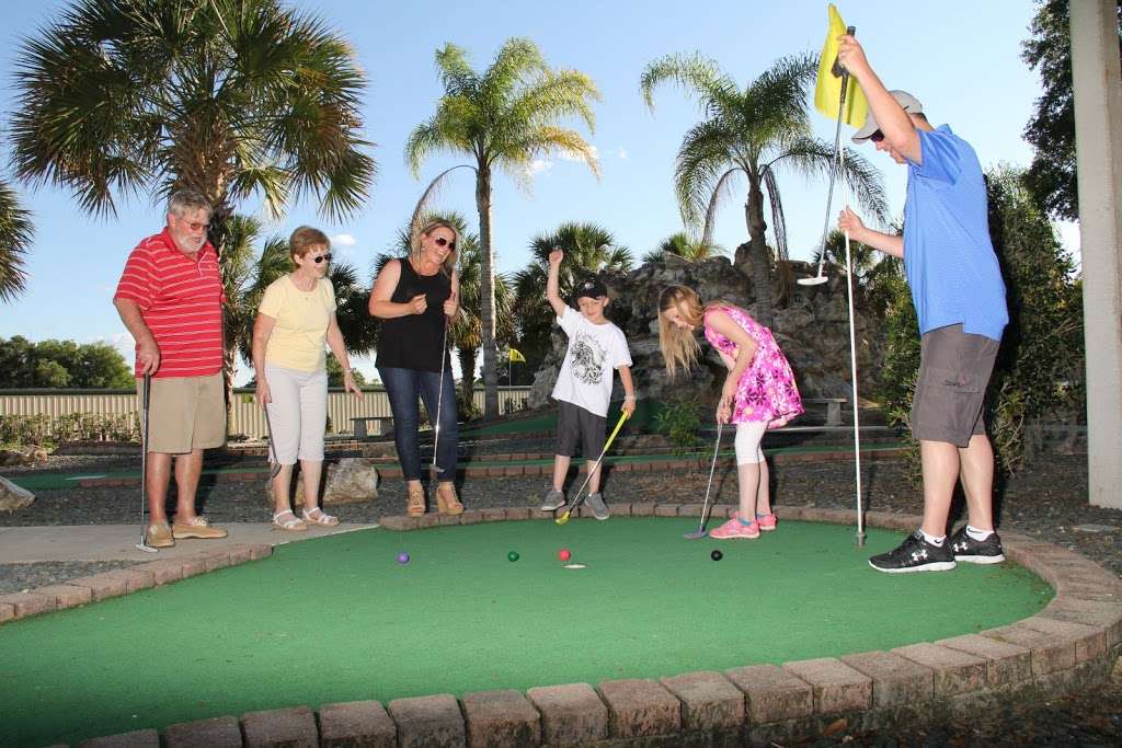 Tree Tops Golf | 698 W Lady Lake Blvd, Lady Lake, FL 32159 | Phone: (352) 259-2313