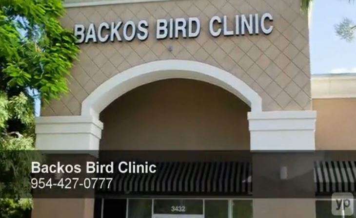 Backos Bird Clinic | 3432 W Hillsboro Blvd, Deerfield Beach, FL 33442, USA | Phone: (954) 427-0777