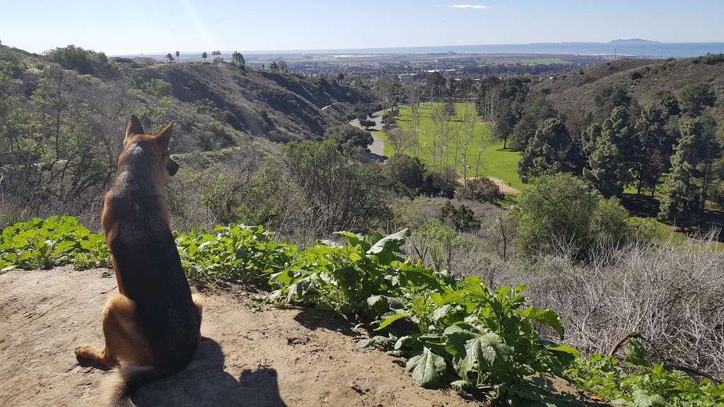 Arroyo Verde Hiking Trails | Arroyo Verde Park Trail, Ventura, CA 93003