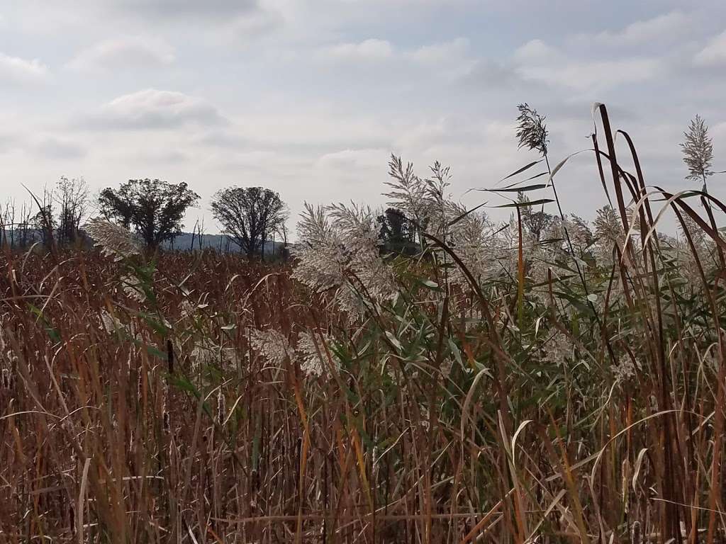 Scuppernong Prairie State Natural Area | County Rd N, Eagle, WI 53119, USA | Phone: (608) 266-0394