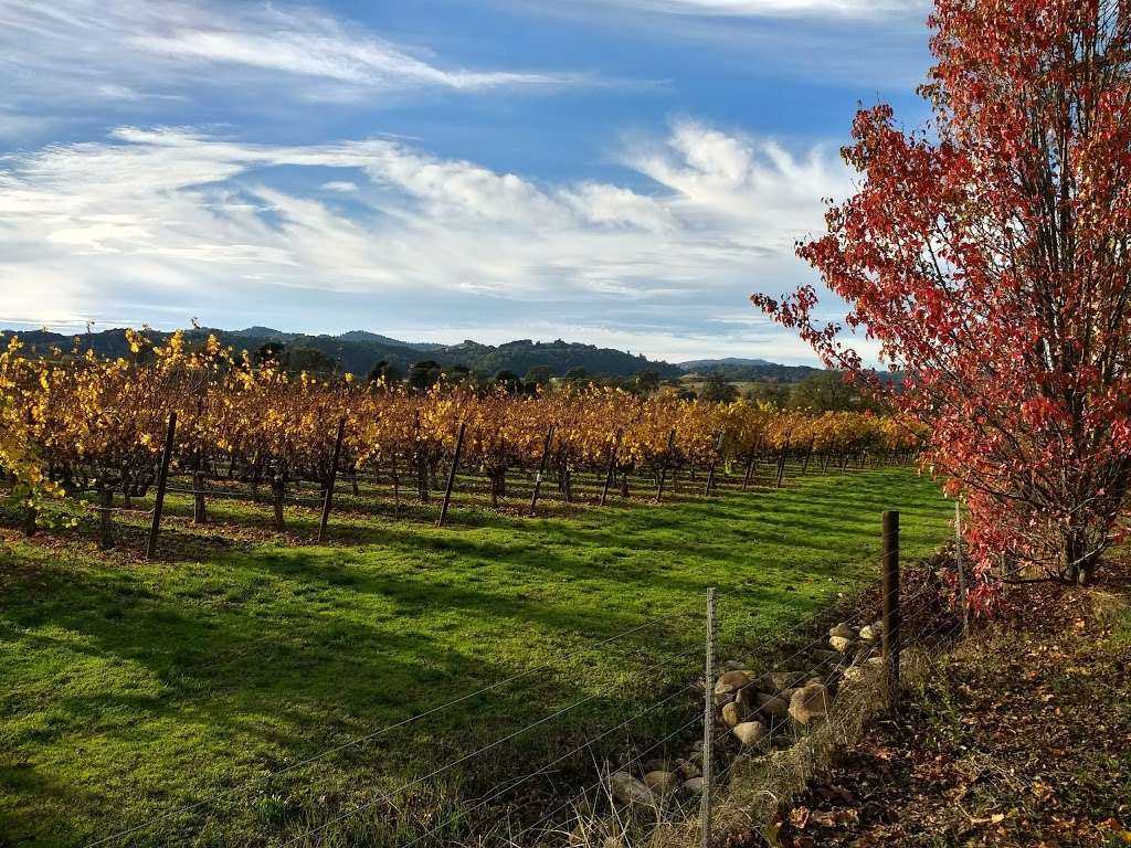 Dry Creek Park | 2537 Rigdon Ct, Napa, CA 94558