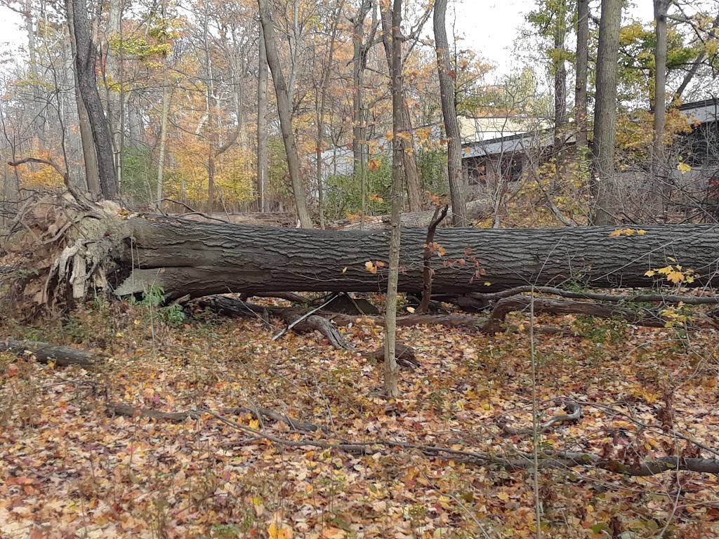 De Veaux Woods State Park | 3180 De Veaux Woods Dr E, Niagara Falls, NY 14305, USA | Phone: (716) 284-4691