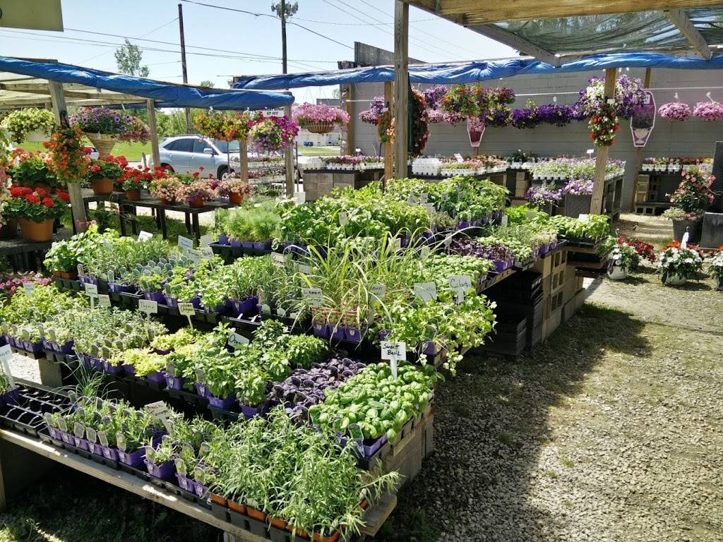 Flowerland | 1261 E Napier Ave, Benton Harbor, MI 49022, USA | Phone: (269) 927-4012