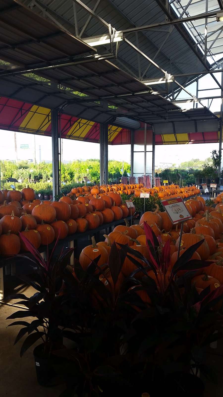 Houston Garden Center | 20415 Southwest Fwy, Richmond, TX 77469, USA | Phone: (281) 344-0353