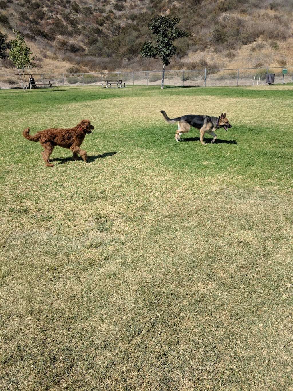 Dog Park | Simi Valley, CA 93065, USA