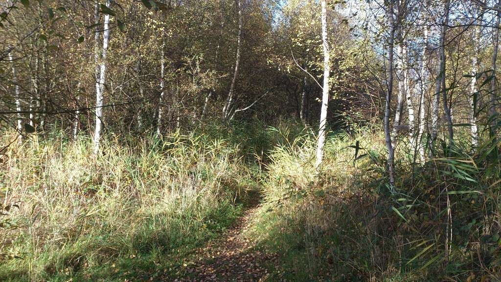 The Ripple Nature Reserve | Barking IG11, UK