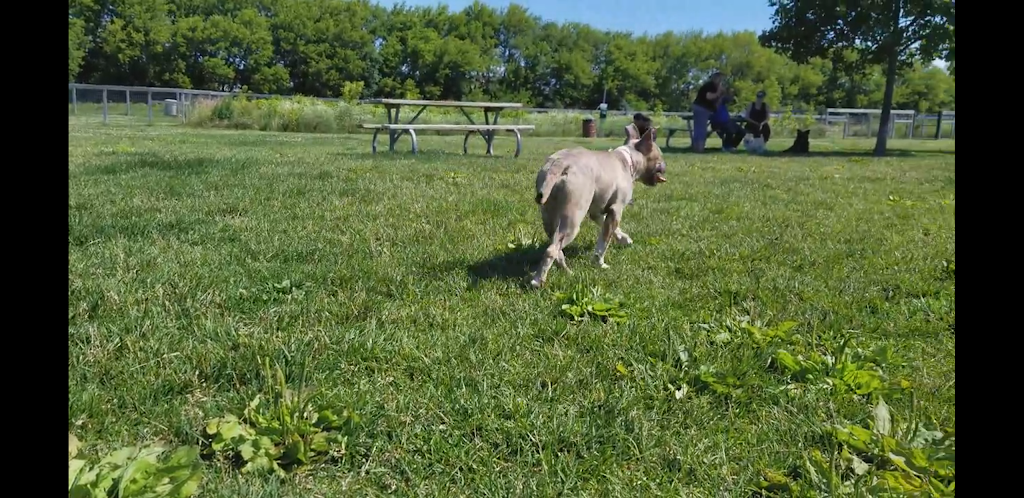 Dog Park at Hoffman Park | W Main St, Cary, IL 60013, USA | Phone: (847) 639-6100