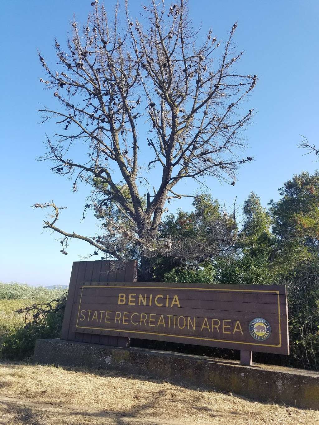 Parks & Recreation Department | 1 State Park Rd, Benicia, CA 94510, USA | Phone: (707) 648-1911