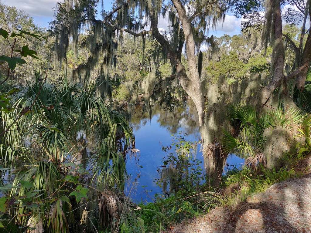 Carter Road Mountain Bike Trails | Bartow, FL 33830, USA