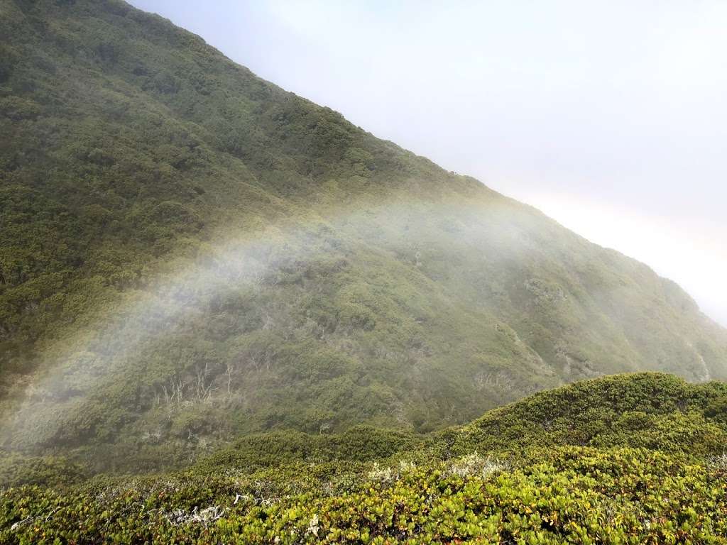 Montara Mountain | Montara Mountain Trail, Pacifica, CA 94044, USA