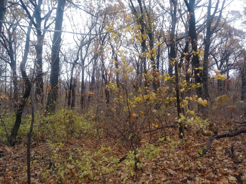 Cunningham Park Southeast Preserve Trail - Trailhead | Queens Village, NY 11427