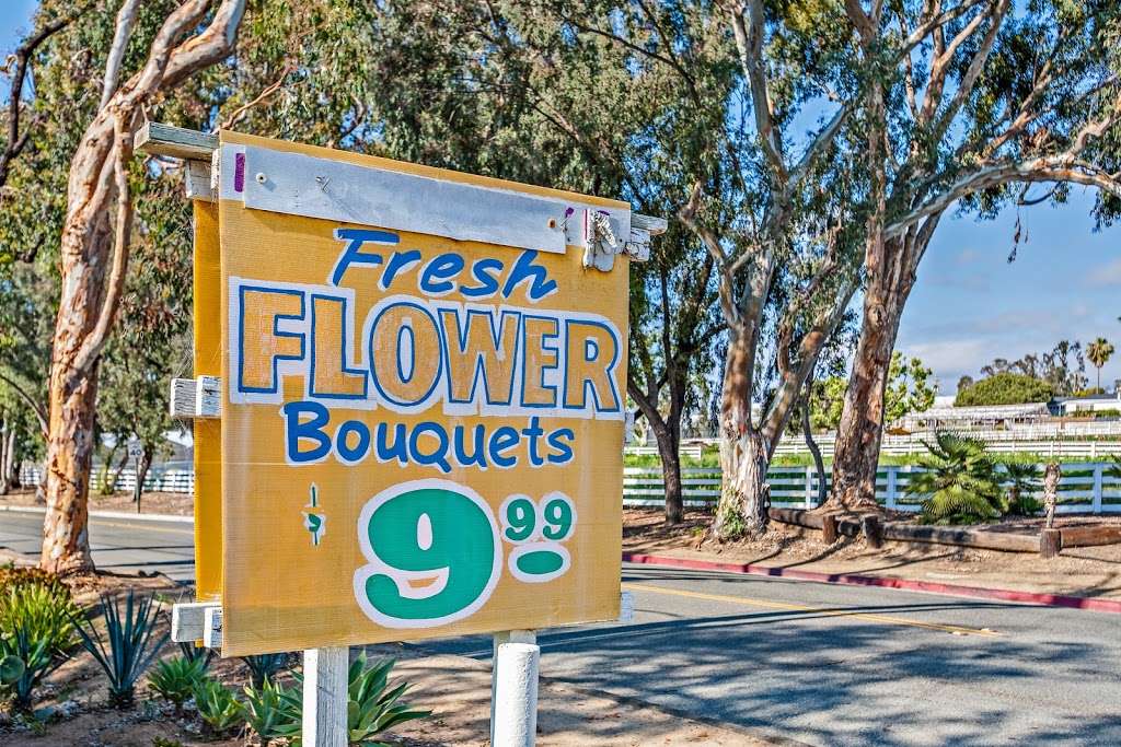 Lopez Flowers | 440 Saxony Rd, Encinitas, CA 92024, USA | Phone: (760) 634-1990