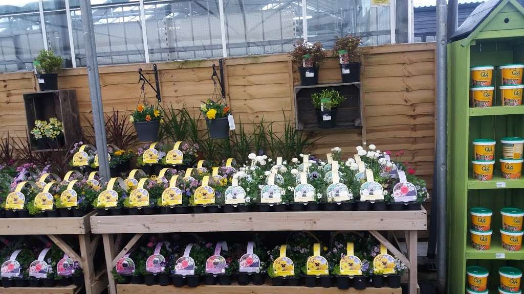 Ongar, a Wyevale Garden Centre | Langford Court, Ongar Rd, Kelvedon Hatch, Brentwood CM15 0LB, UK | Phone: 0844 288 5704