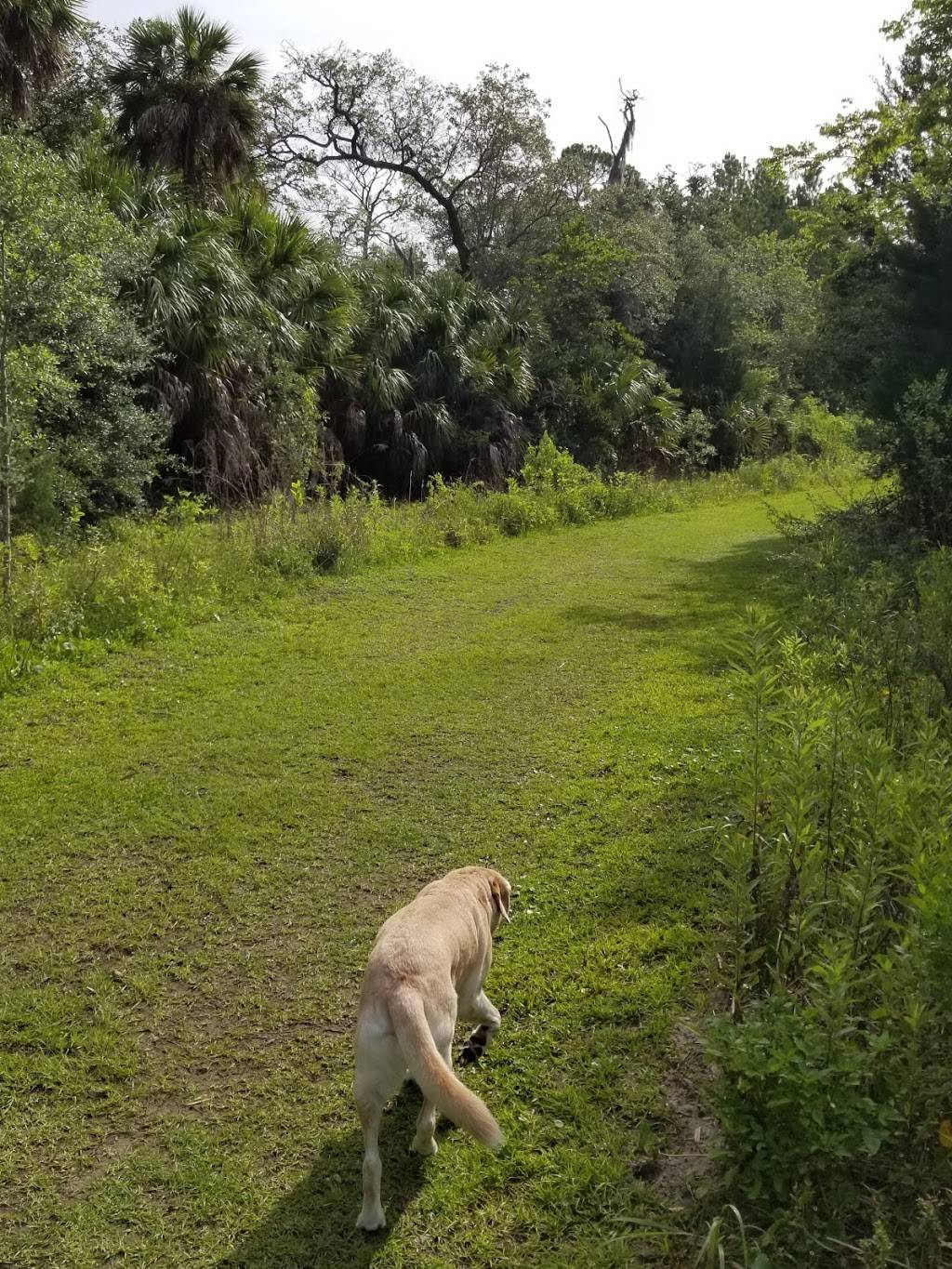 Reddie Point Preserve | 4499 Yachtsman Way, Jacksonville, FL 32277 | Phone: (904) 630-2489