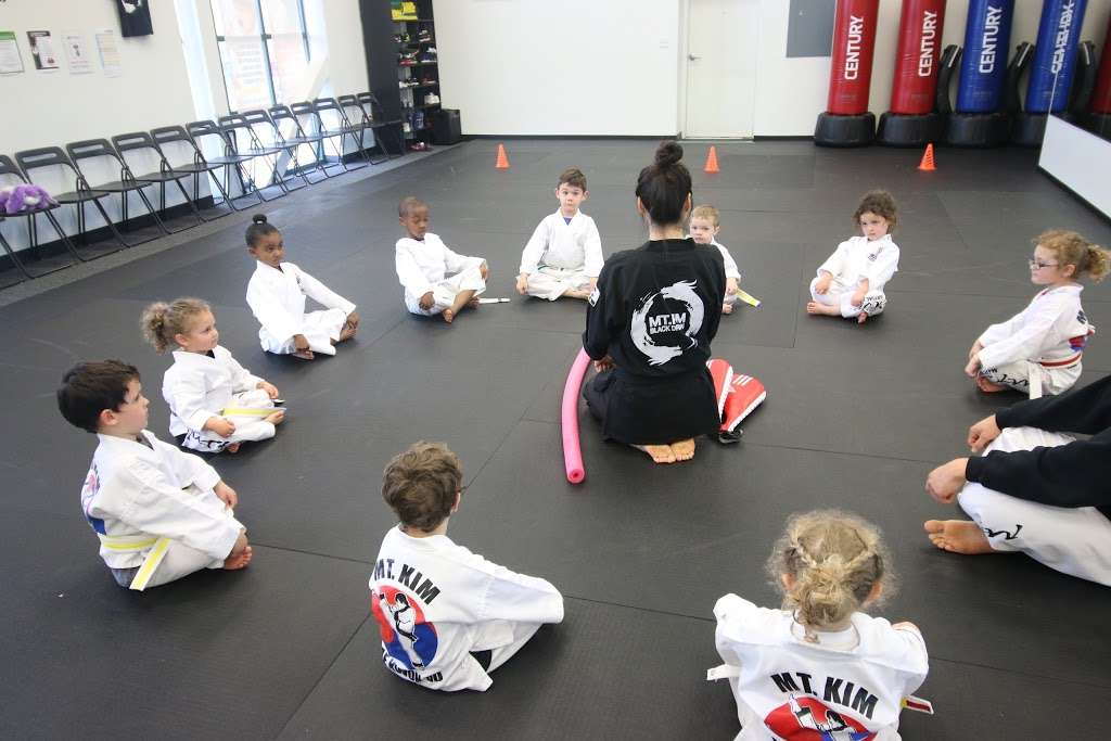 Mt.Kim Black Dragon Martial Arts - After School Program | 13863 Heathcote Blvd, Gainesville, VA 20155 | Phone: (703) 753-0500