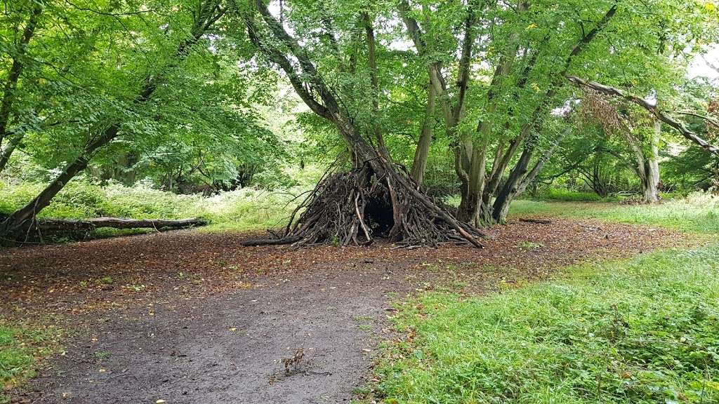 Hatfield Forest Car Park | Unnamed Rd Bishops Stortford, Takeley, Bishops Stortford CM22 6NH, UK