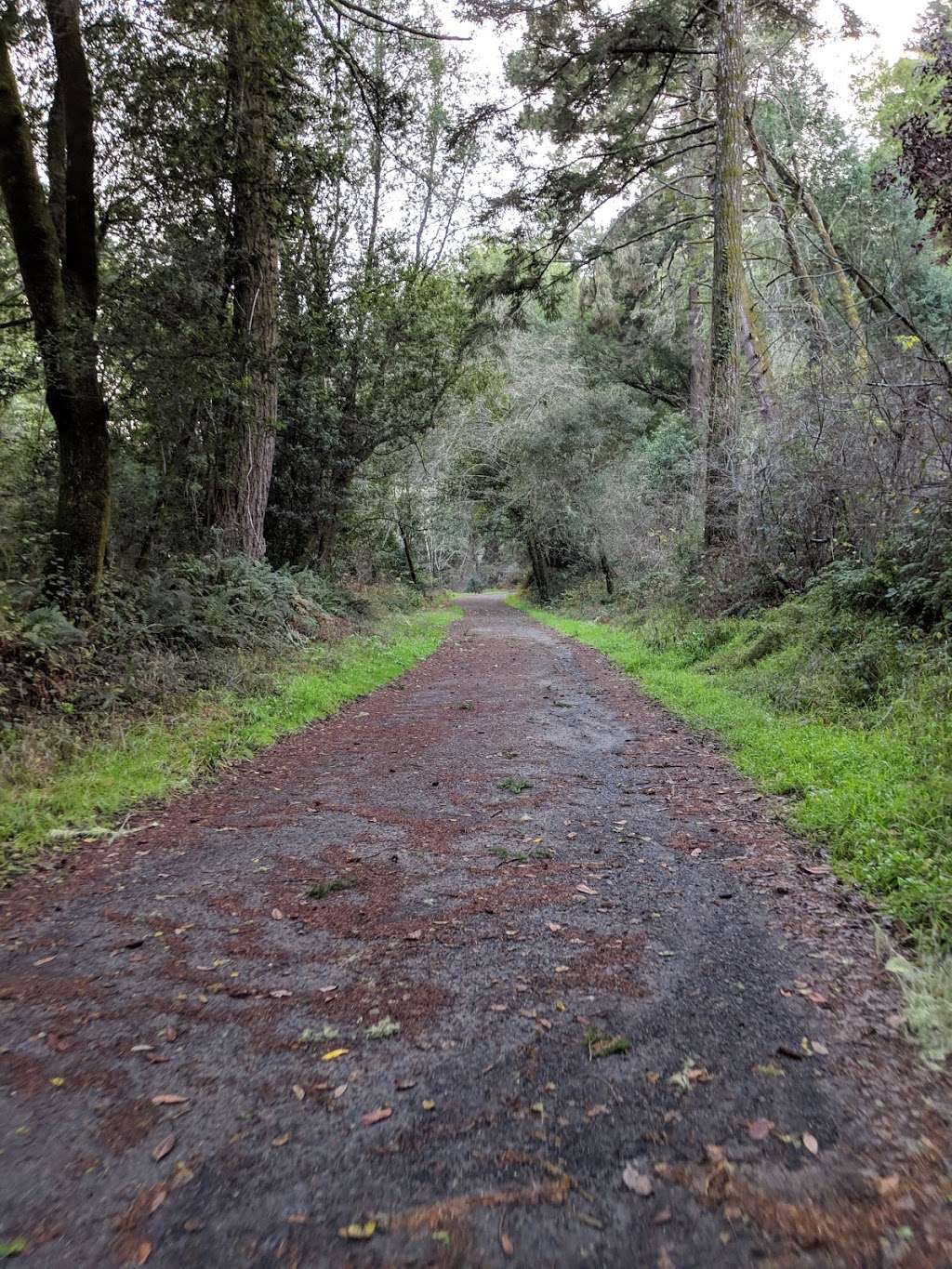 Bear Valley Trailhead | Bear Valley Visitor Center Access Road, Point Reyes Station, CA 94956, USA