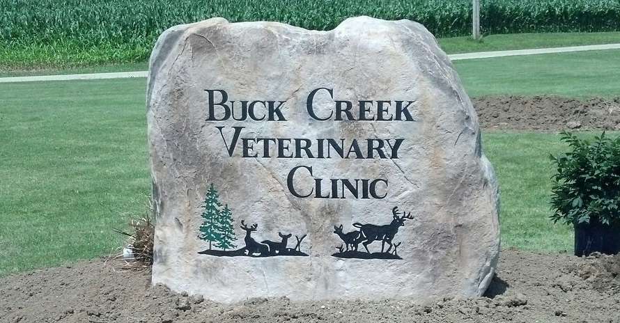 Buck Creek Veterinary Clinic | 10972 IN-3, Knightstown, IN 46148, USA | Phone: (765) 345-2103