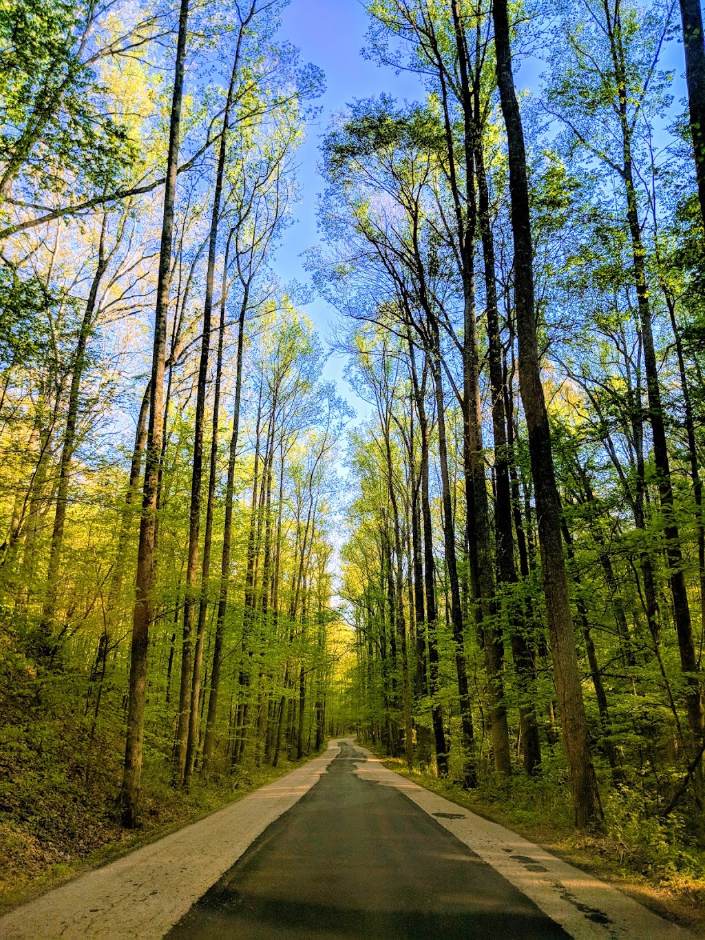 Morgan-Monroe State Forest | Martinsville, IN 46151, USA | Phone: (765) 342-4026