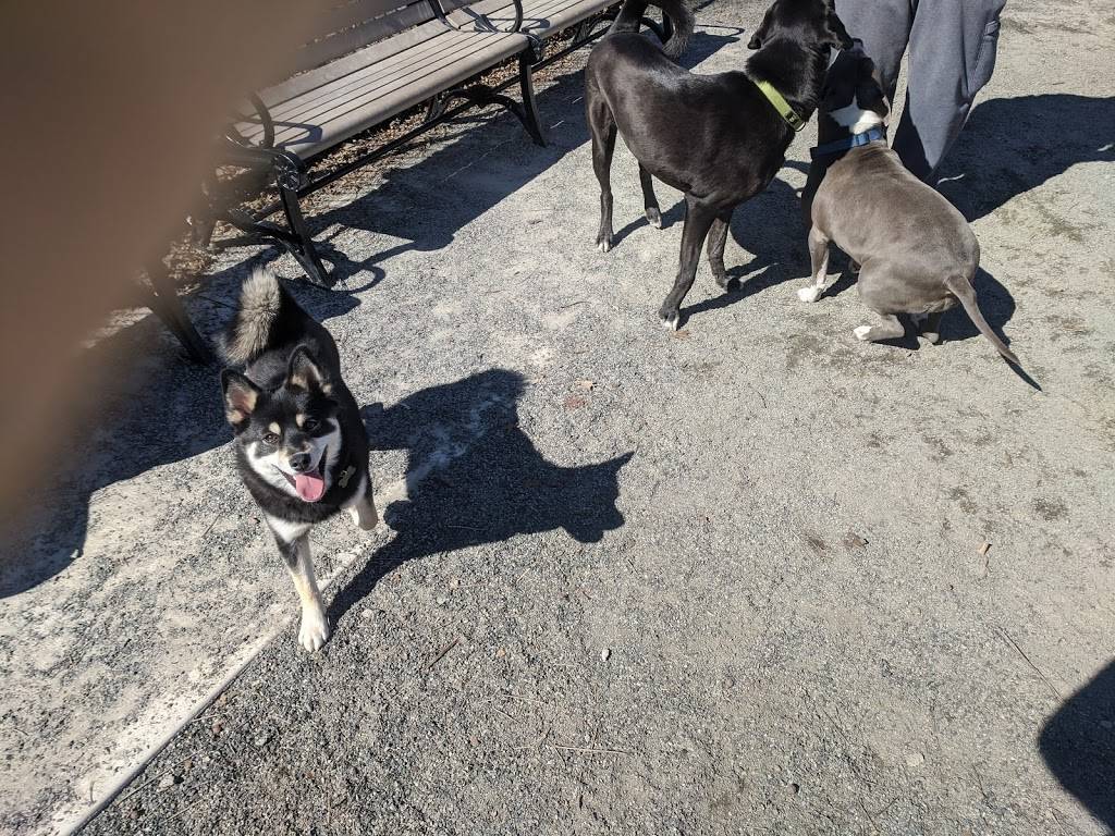 Essex County Branch Brook Dog Park | Branch Brook Park Dr, Newark, NJ 07107, USA | Phone: (973) 268-3500 Essex County Branch Brook Dog Park | Branch Brook Park Dr, Newark, NJ 07107, USA | Phone: (973) 268-3500