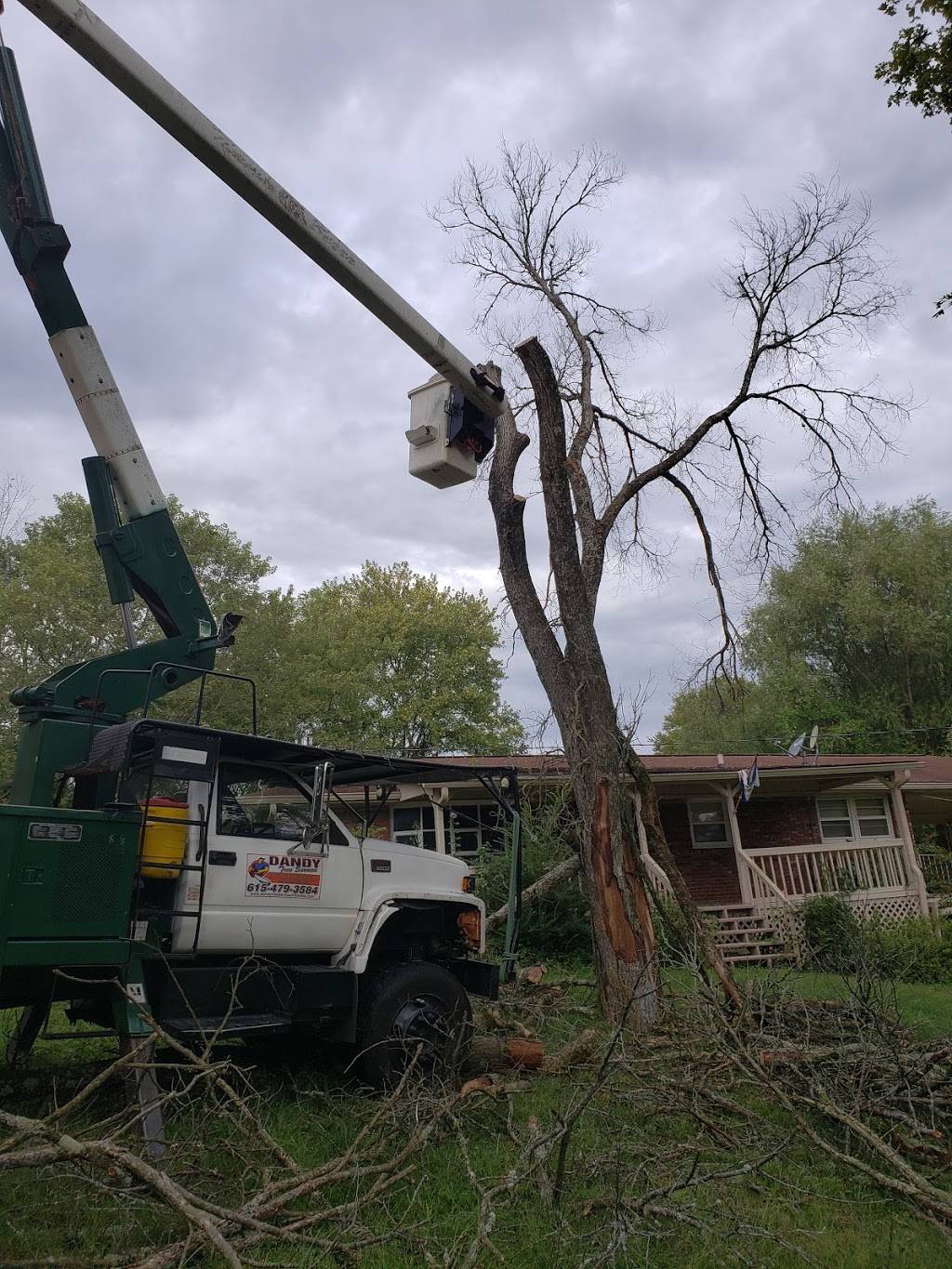 Dandy Tree Service | 3376 Ivey Point Rd, Goodlettsville, TN 37072, USA | Phone: (615) 479-3584