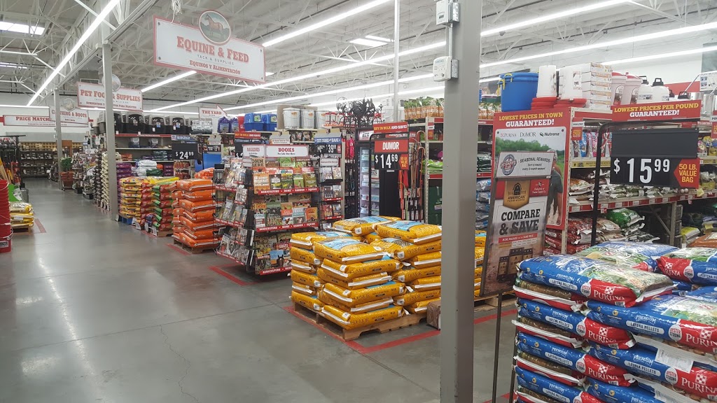 Tractor Supply Co. | 18123 Collier Ave, Lake Elsinore, CA 92530, USA | Phone: (951) 674-1704