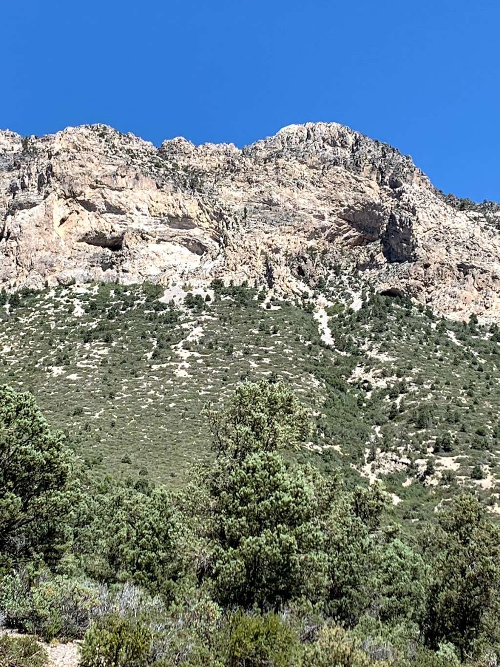 Acastus Trail | Acastus Trail, Mt Charleston, NV 89124, USA