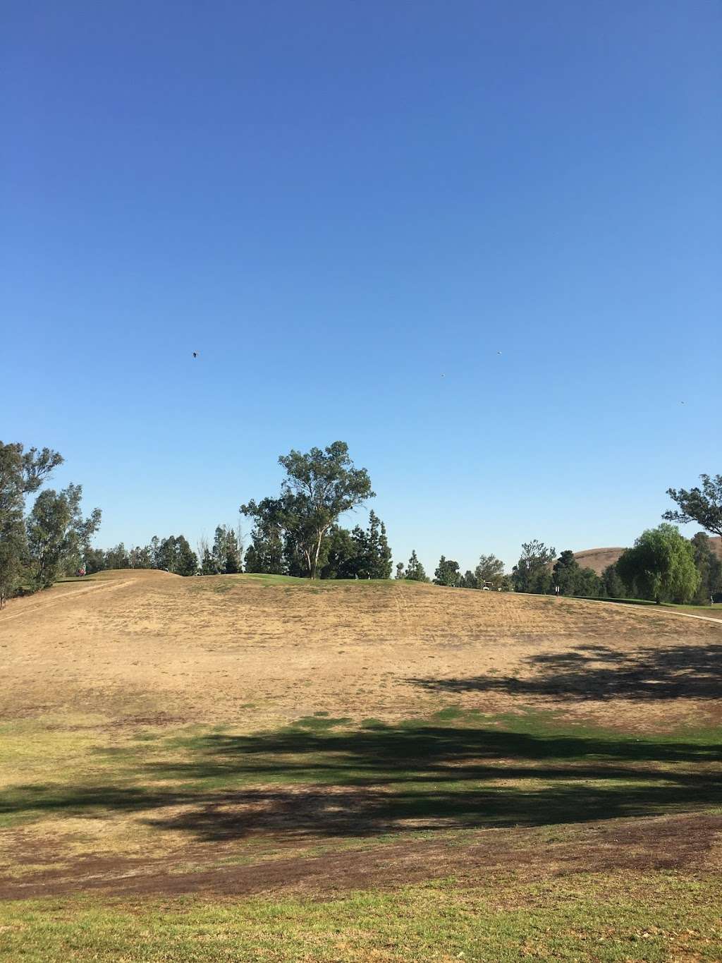 Rincon Park | 16202 Pinehurst Dr, Chino Hills, CA 91709, USA