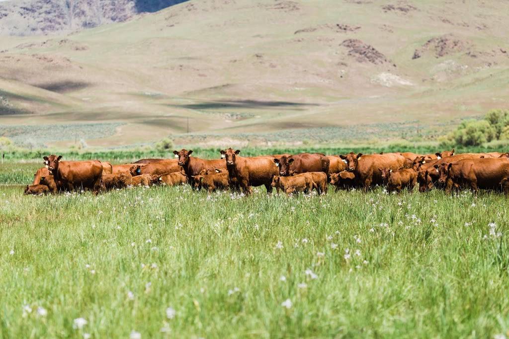 Cunningham Pastured Meats Storage - No Onsite Retail Sales | 495 S 15th St, Boise, ID 83702, USA | Phone: (208) 649-4403