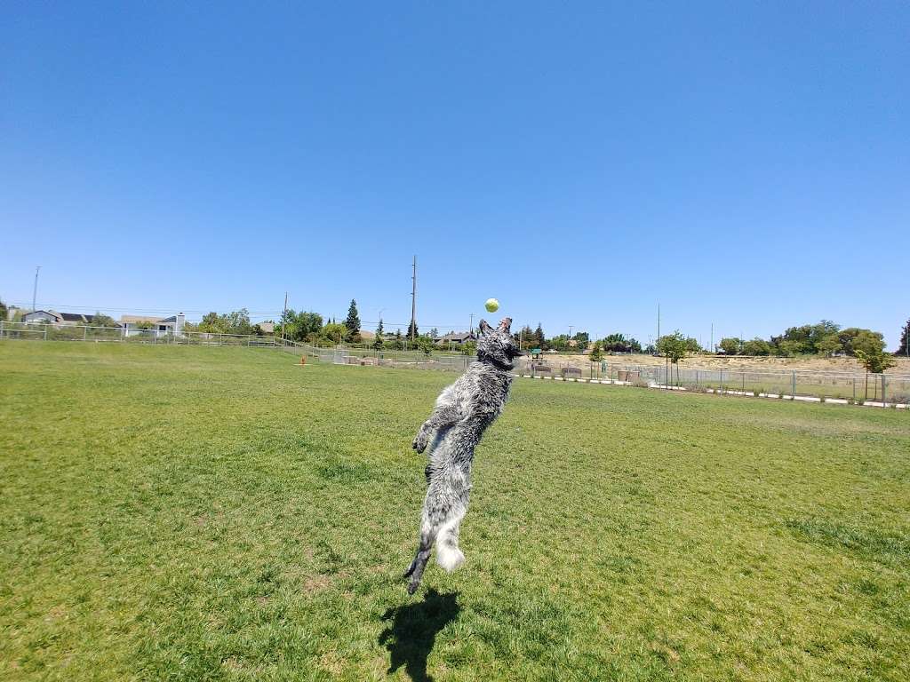 Koda Dog Park No barking | 100 Oxford Dr, Oakley, CA 94561, USA