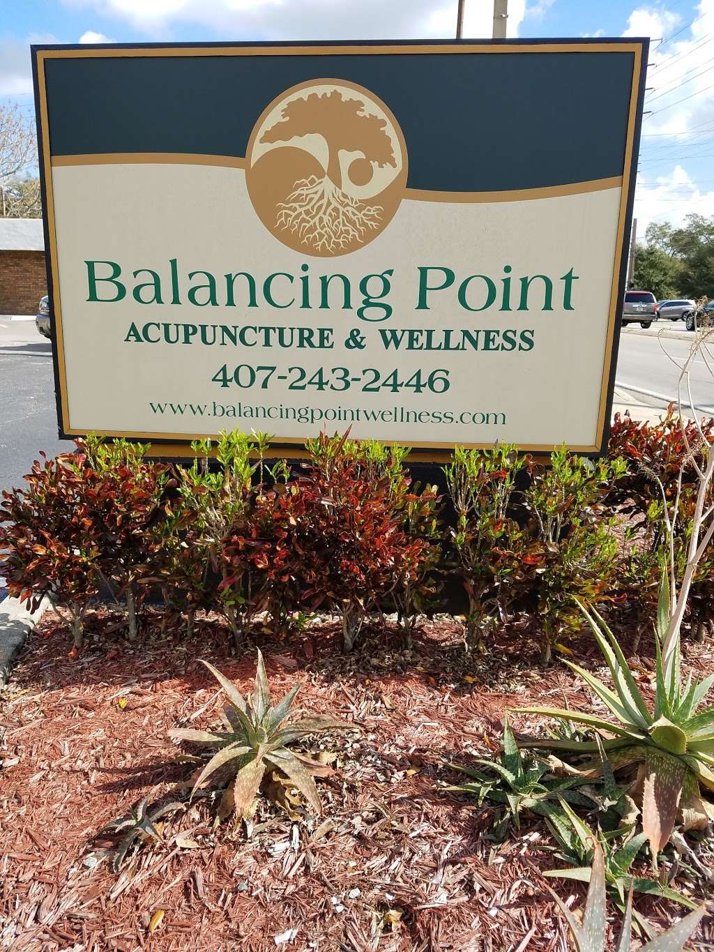Balancing Point | 1505 E Michigan St, Orlando, FL 32806, USA | Phone: (407) 243-2446
