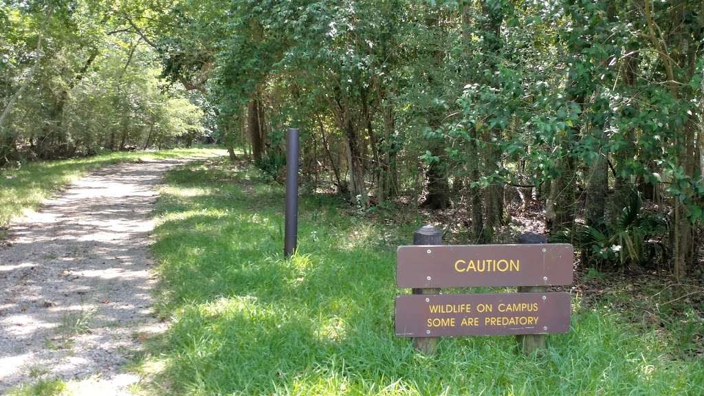 University of Houston nature trail | Houston, TX 77058, USA