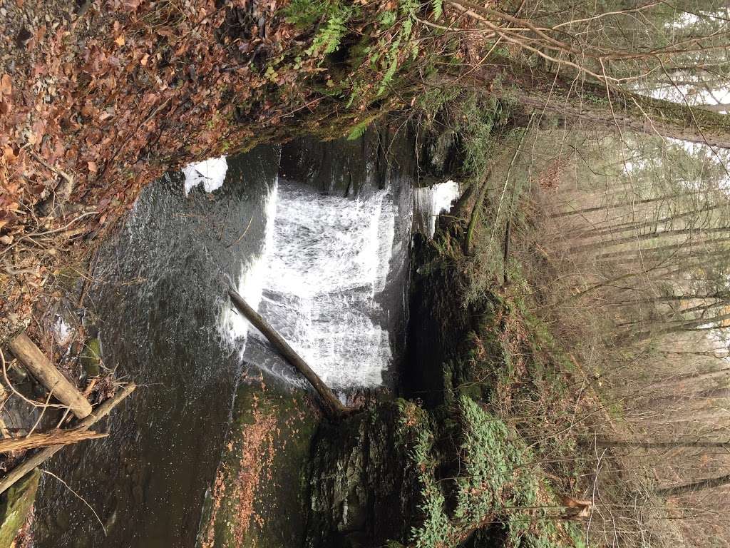 Hornbecks Trail | Hornbecks Creek, 18328, Dingmans Ferry, PA 18328, USA