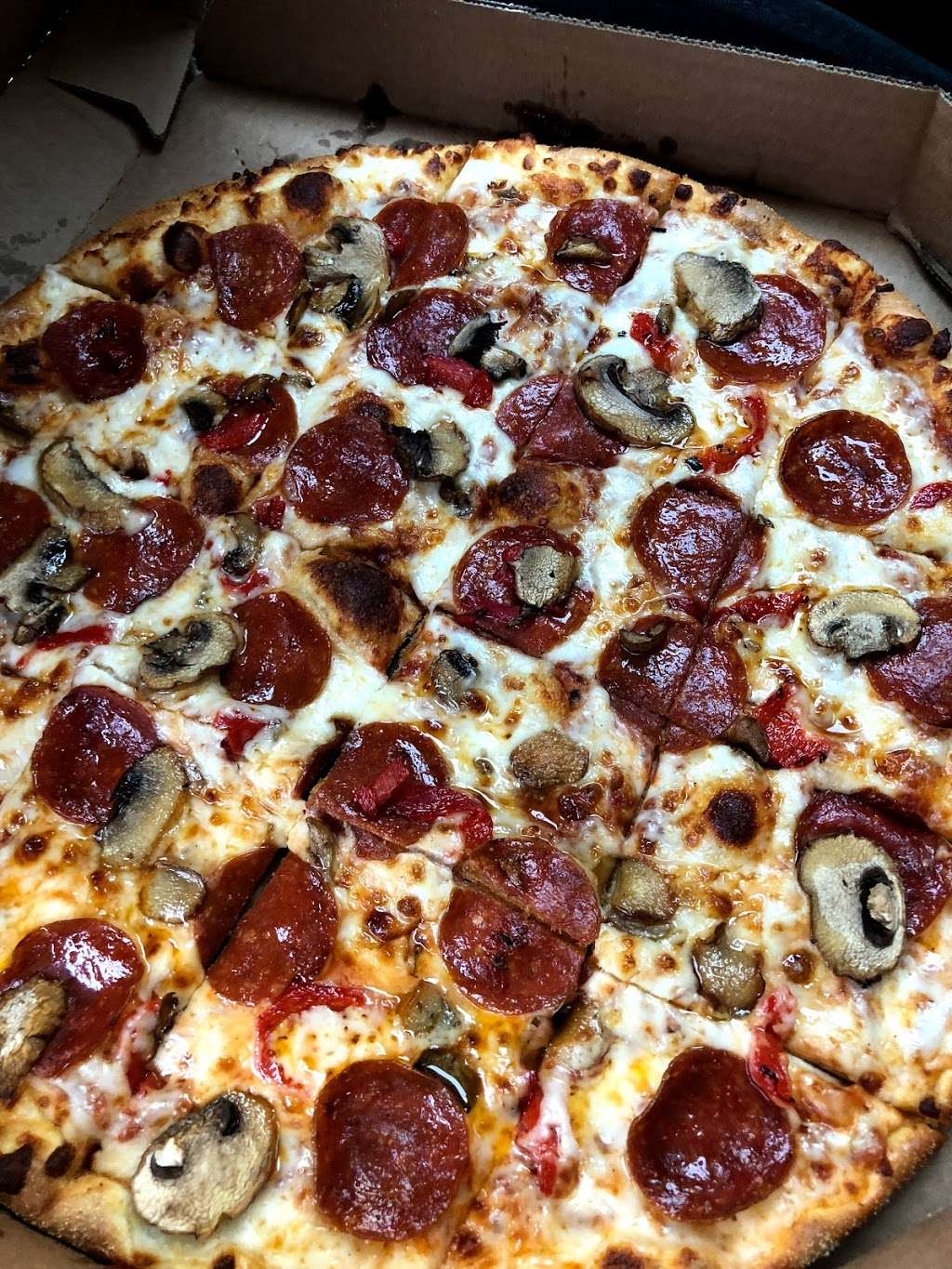 Dominos Pizza | 374 Chelmsford St, Lowell, MA 01851, USA | Phone: (978) 441-1000