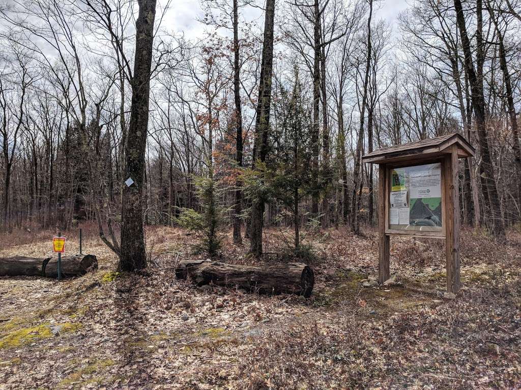 The Nature Conservancy, Harry and Mary Goeringer Preserve | Hollenback Rd, White Haven, PA 18661, USA | Phone: (570) 643-7922