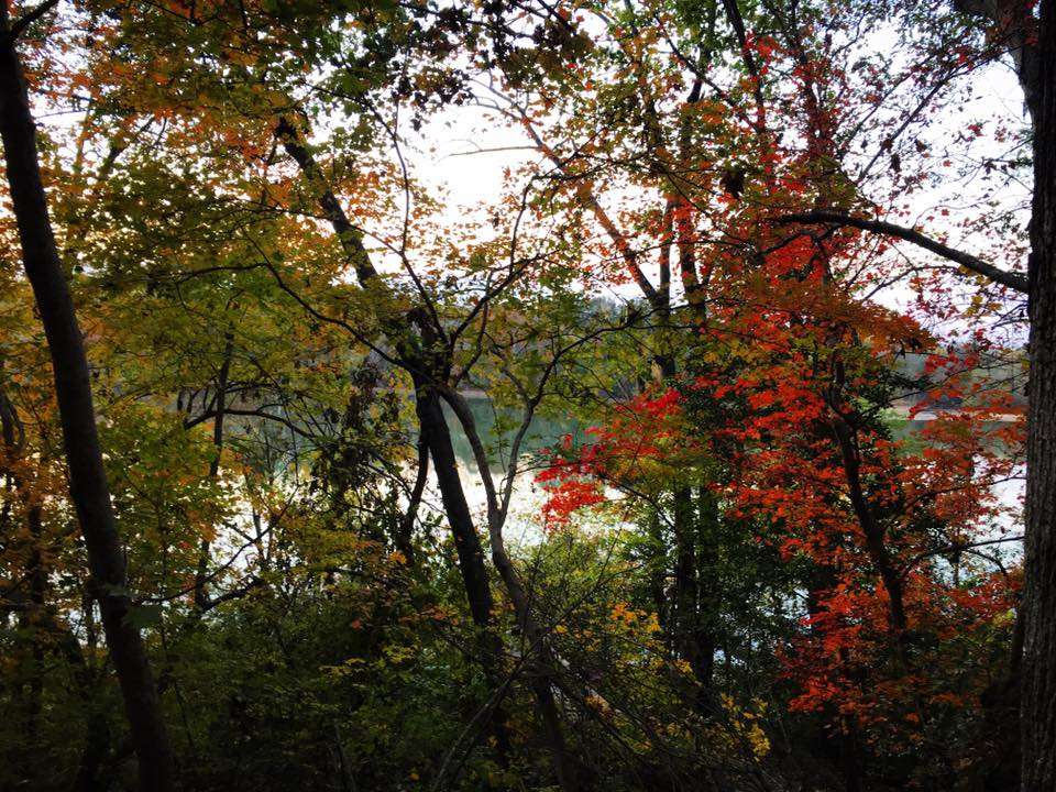 USNWC North Main & Figure 8 Trailhead | Charlotte, NC 28214