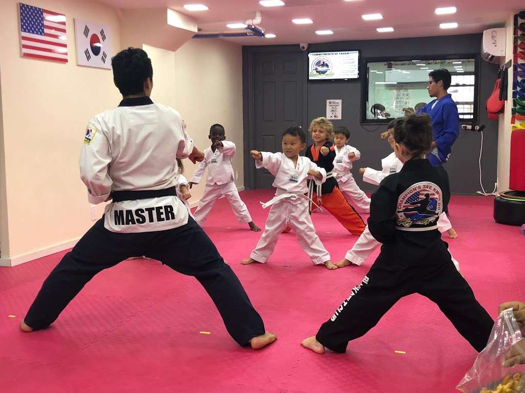 Champions Martial Arts & After school | 319 Court St, Brooklyn, NY 11231, USA | Phone: (917) 280-4989